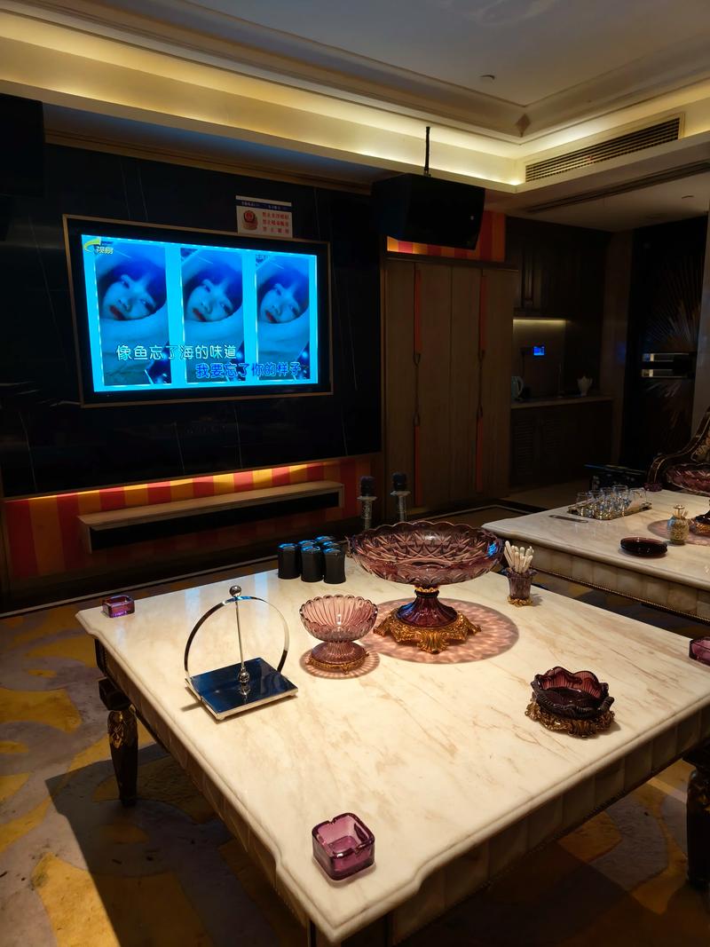 定西商务ktv：精彩商务洽谈与娱乐结合-陇西县ktv预订